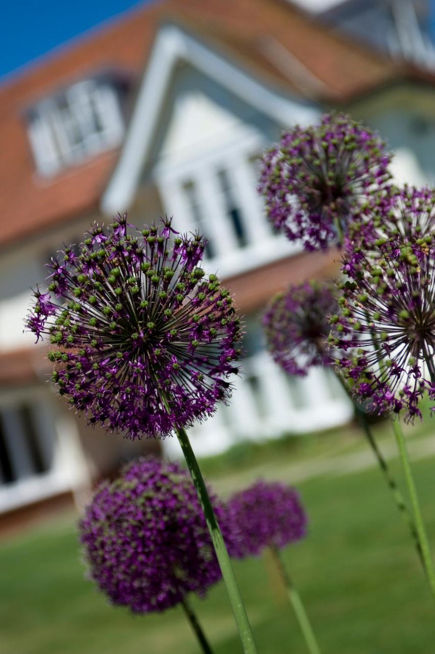 Park House Hotel Midhurst Buitenkant foto